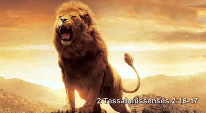 Carta de Deus para Você