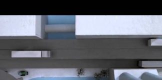 Voltar ao Início – Criação de Animais