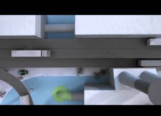 Voltar ao Início – Criação de Animais