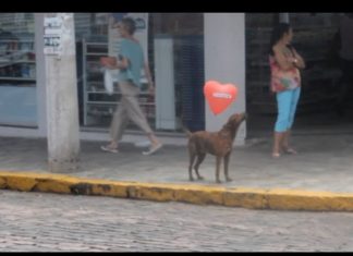 Estou Aqui – Intervenção Urbana