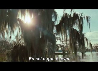 12 Anos de Escravidão